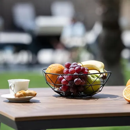 Sara شقة فندقية نيكيتي