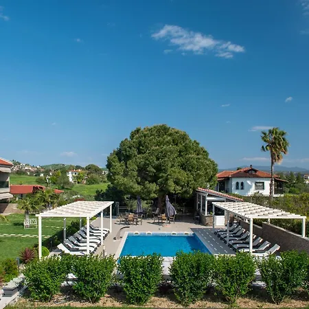 Sara Νικήτη